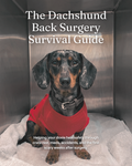 The Dachshund Back Surgery Survival Guide