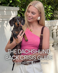The Dachshund Back Crisis Handbook