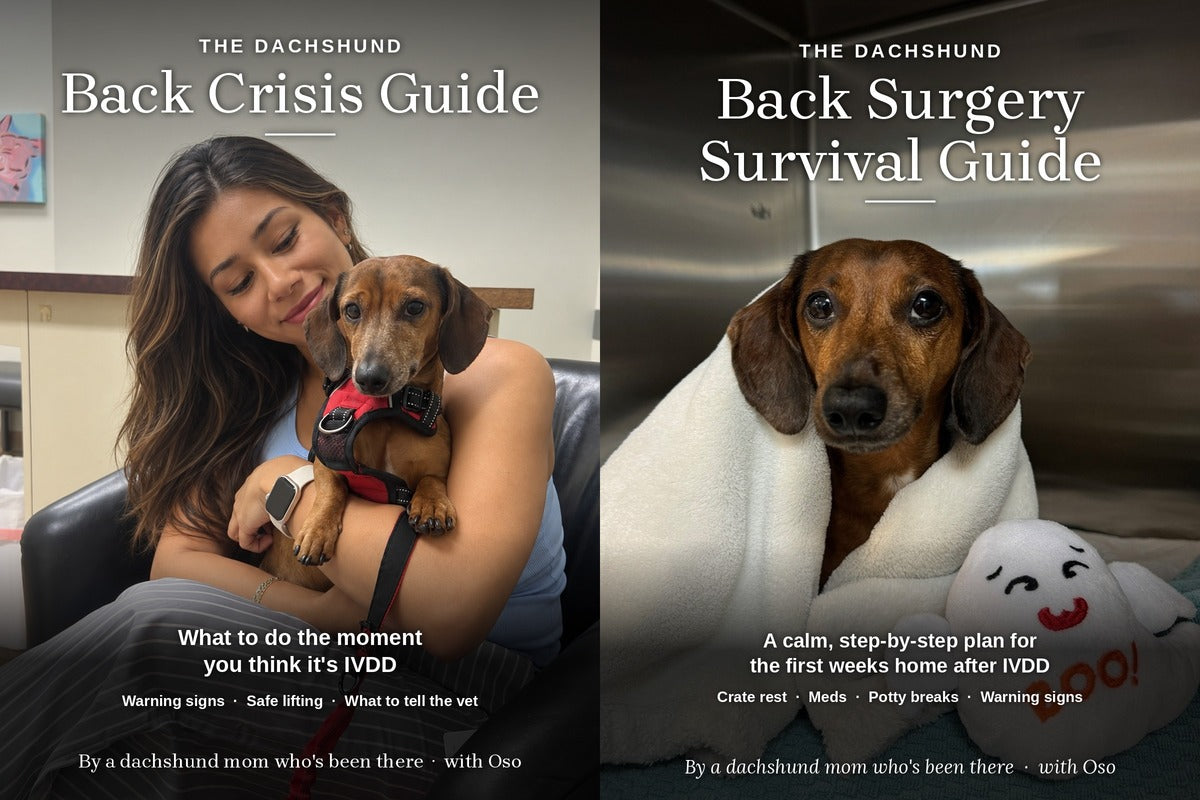 Dachshund Back Health Bundle: Crisis Guide + Surgery Survival Guide