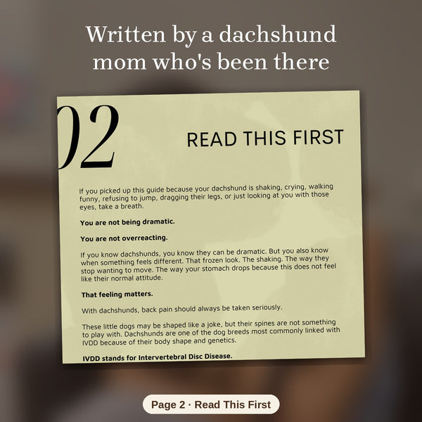Start here: what to do first