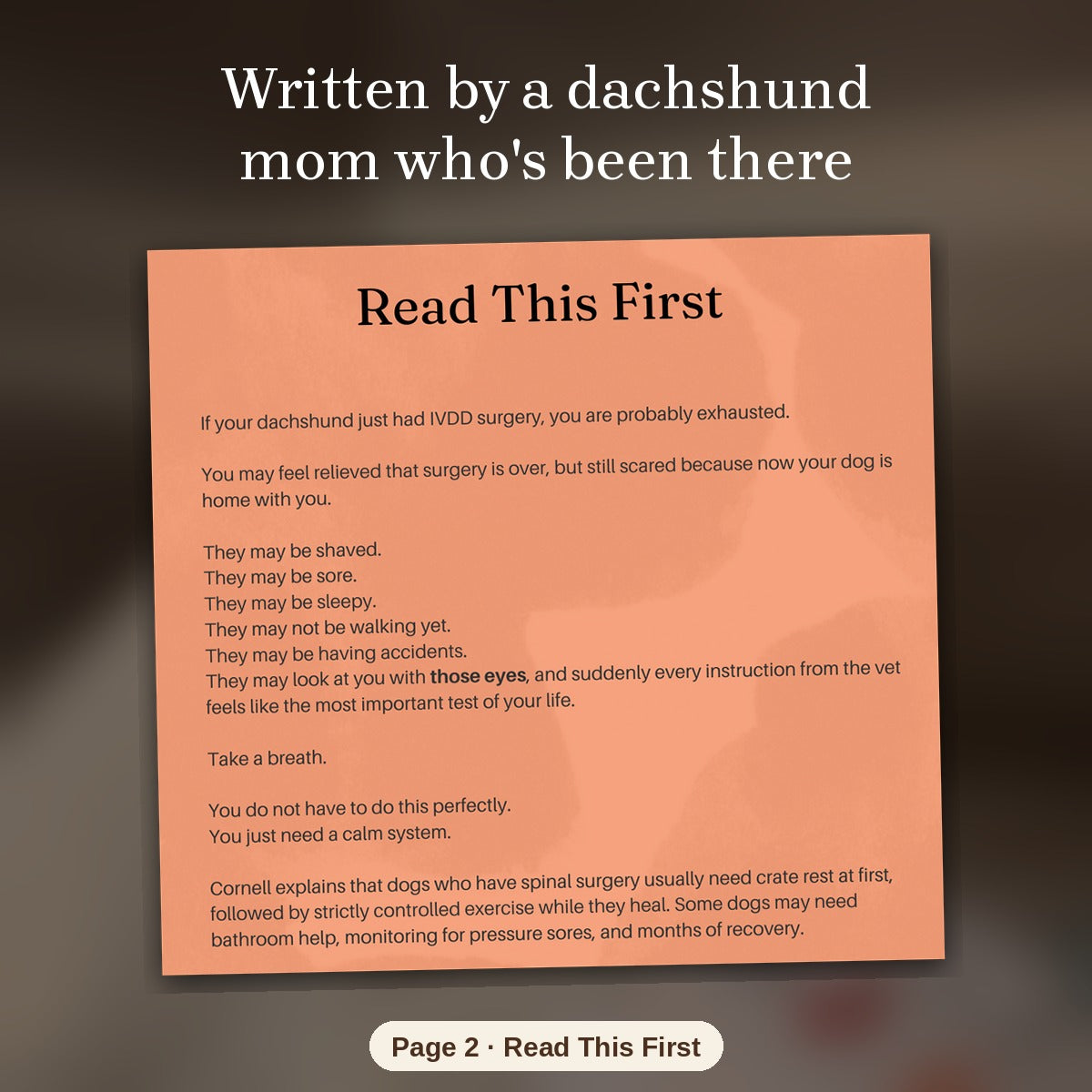 Dachshund Back Health Bundle: Crisis Guide + Surgery Survival Guide
