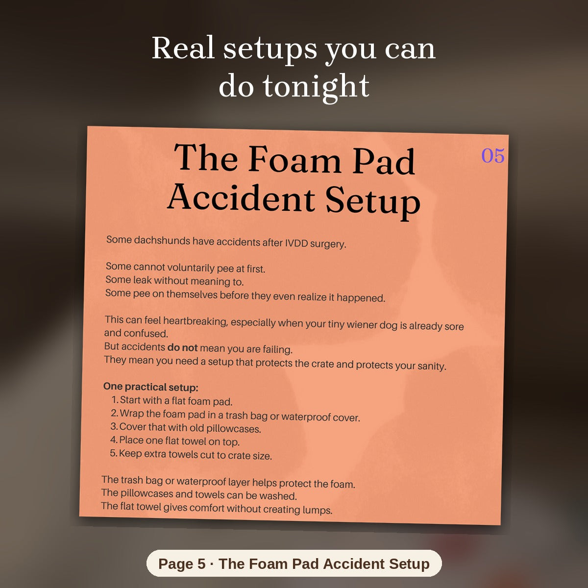 Dachshund Back Health Bundle: Crisis Guide + Surgery Survival Guide