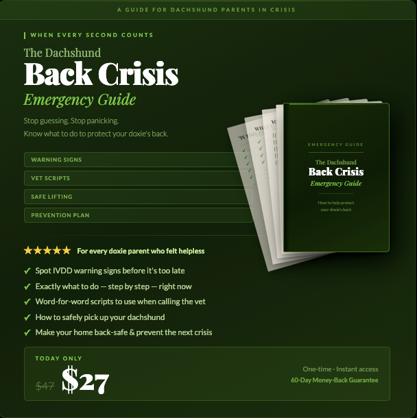 The Dachshund Back Crisis Handbook