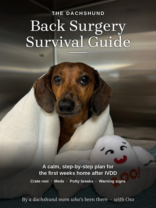 The Dachshund Back Surgery Survival Guide